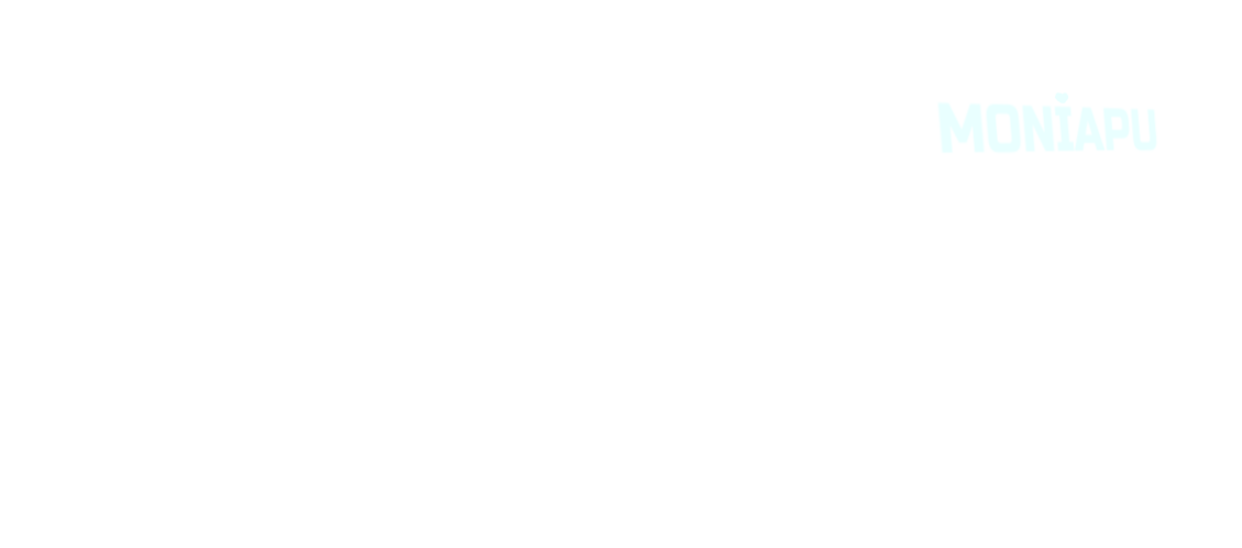 Turun Seudun Moniapu pakettiauto